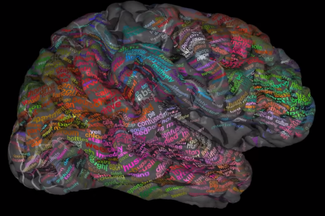 Cerebro: Impresionante mapa semántico revela cómo organizamos el lenguaje y los significados