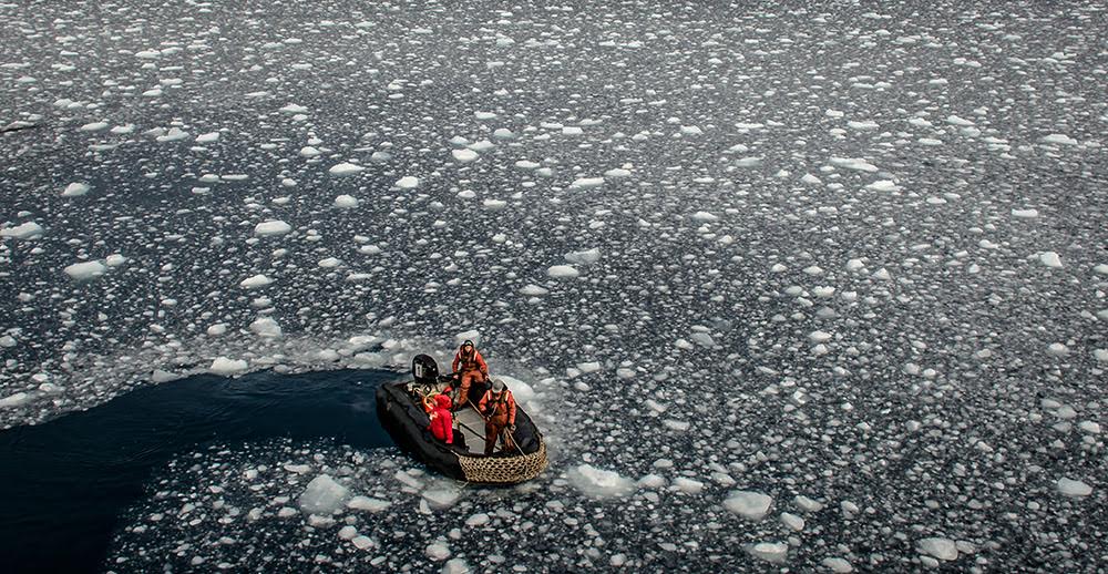 Los efectos del calentamiento global en la Antártica bajo la lupa de científicos chilenos