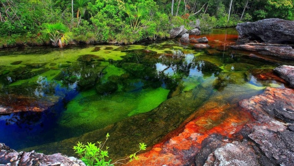 Colombia: en peligro el río mas bello del mundo por explotación petrolera