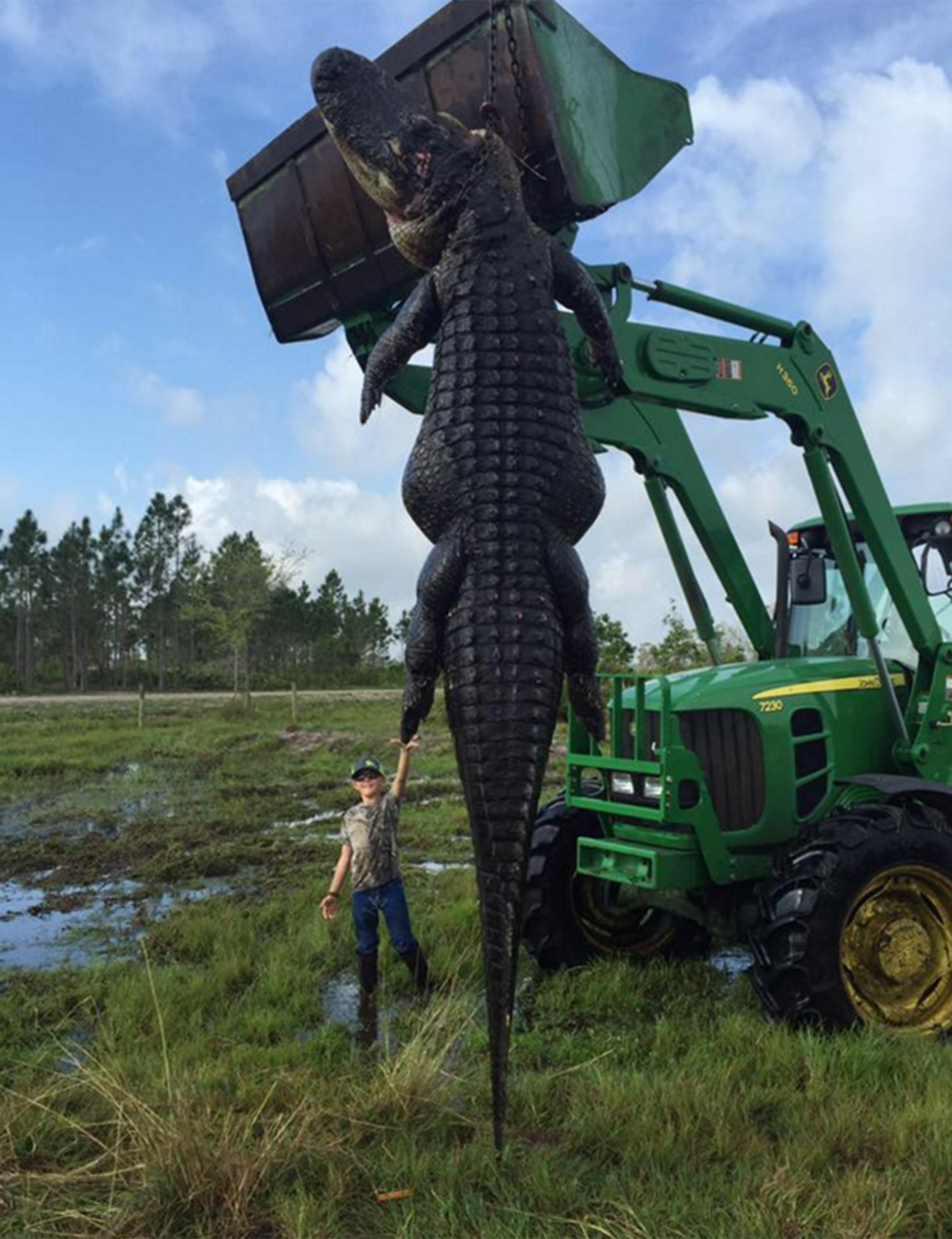 Granjero mata a tiros a cocodrilo gigante que se daba banquetes con su ganado