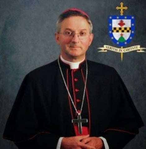 El Obispo de Villarrica sería un detonante de La violencia en la Araucanía