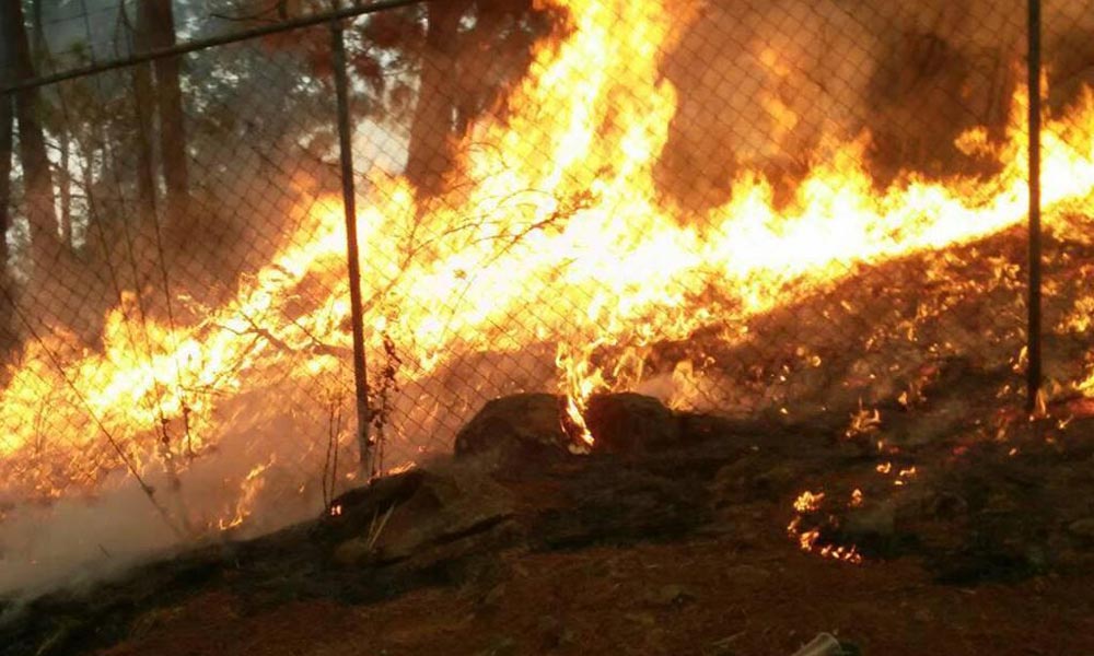 Logran controlar incendio forestal en Uruapan