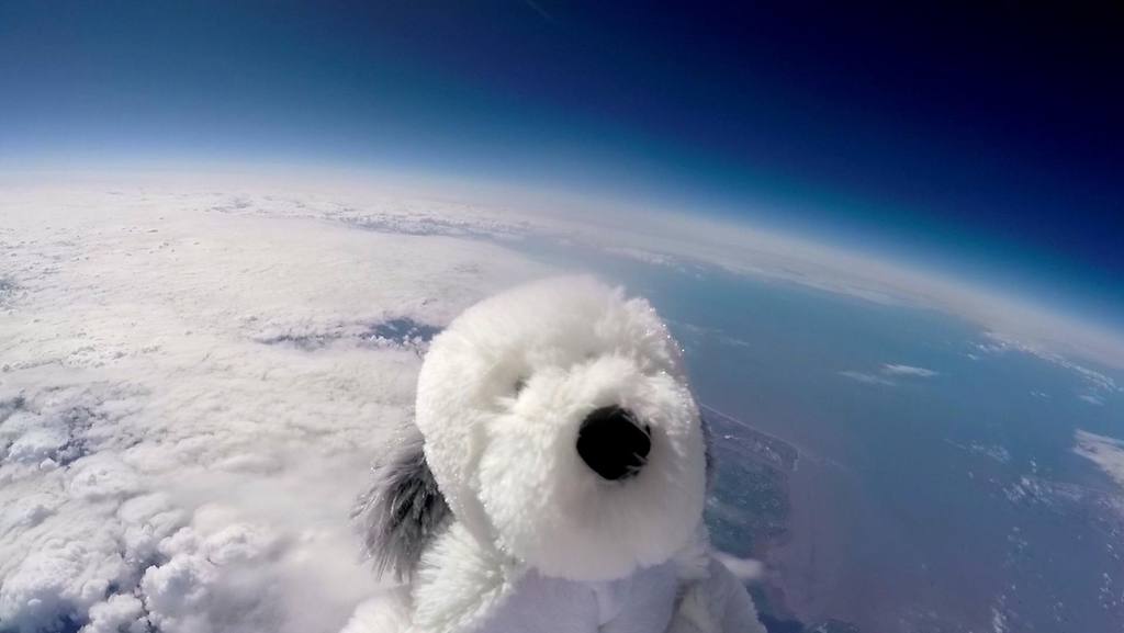 (Video) Niños mandan al primer peluche a la estratosfera, pero Sam no regresó