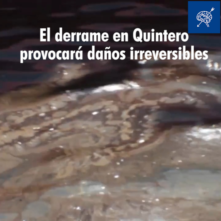 El derrame en Quintero podría tener daños irreversibles