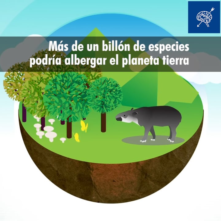 El planeta tierra podría albergar más de un billón de especies