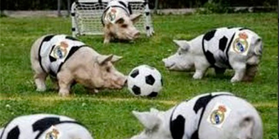 Stoitchkov se burla del Real Madrid con imagen de cerdos