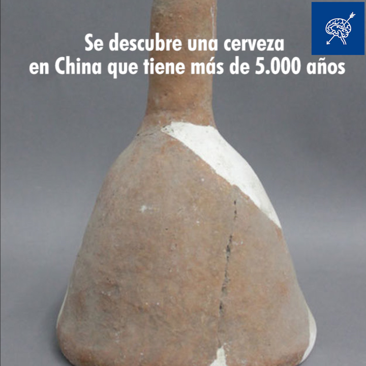 Se descubre en China una cerveza que tiene más de 5.000 años