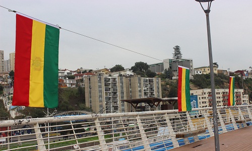 Con banderas bolivianas protestaron los pescadores porteños en Caleta Portales