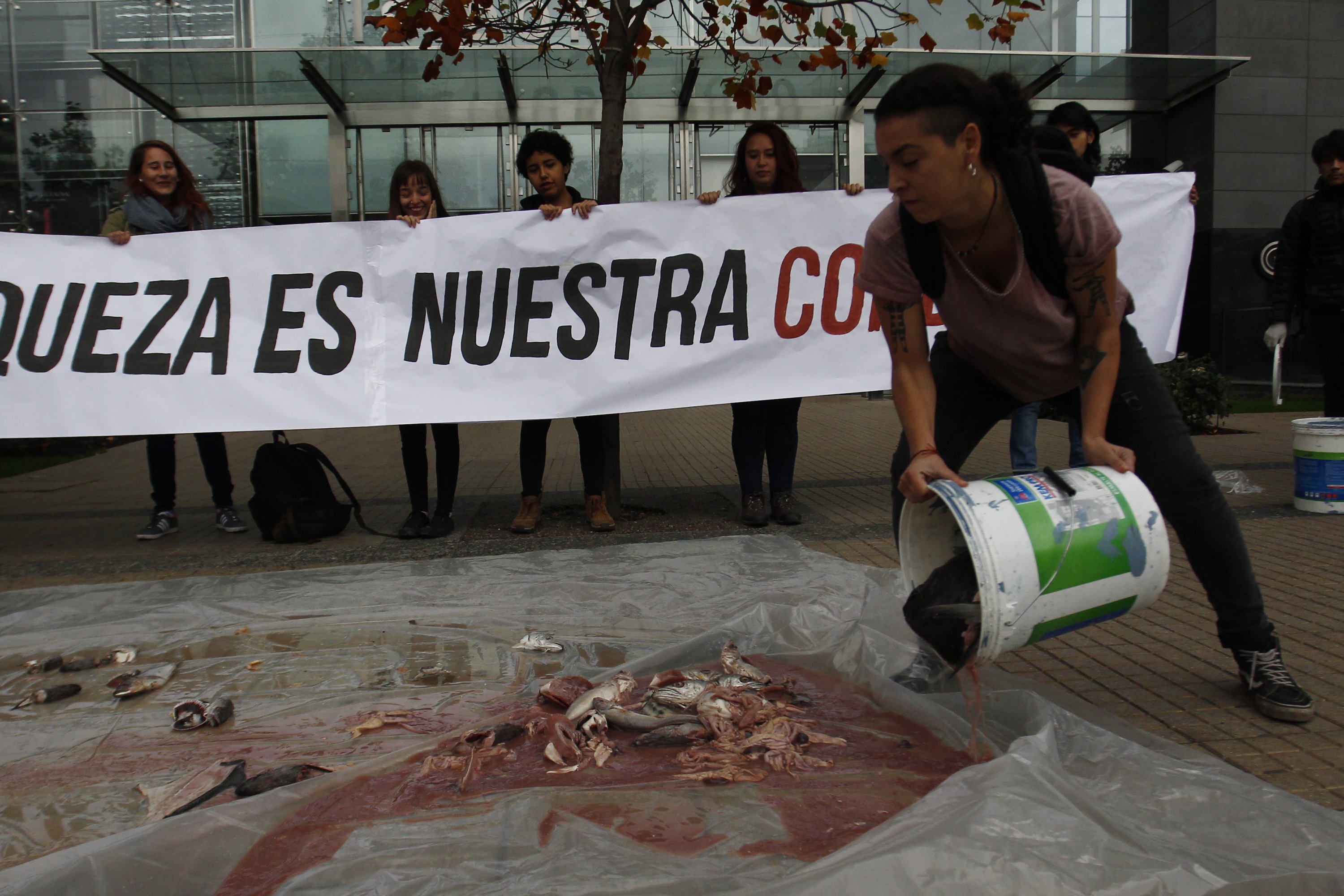 Estudiantes protestan lanzando pescados en frontis de empresa salmonera