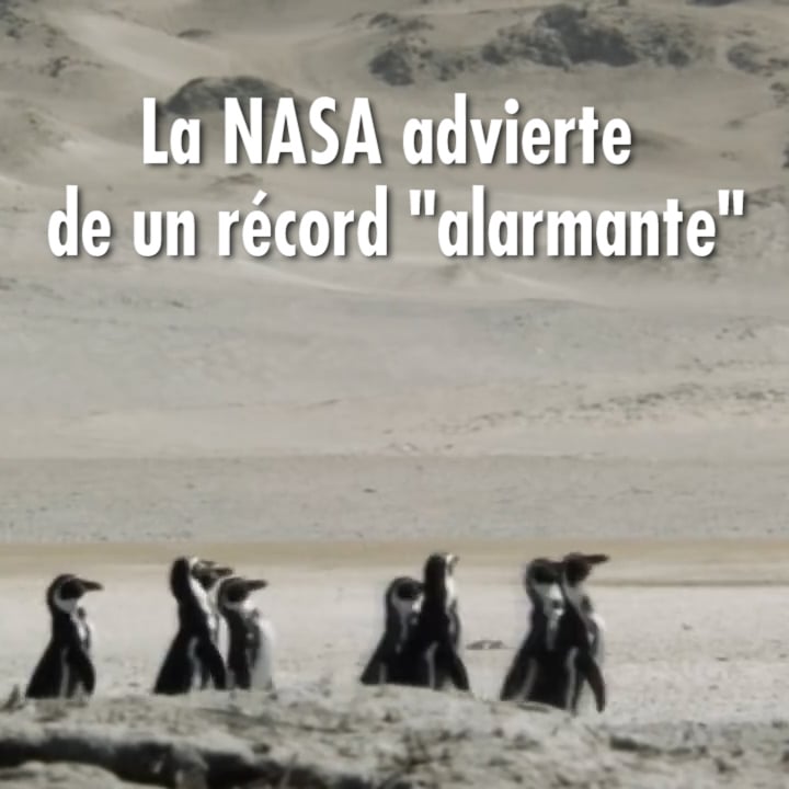 La NASA advierte de un récord «alarmante»