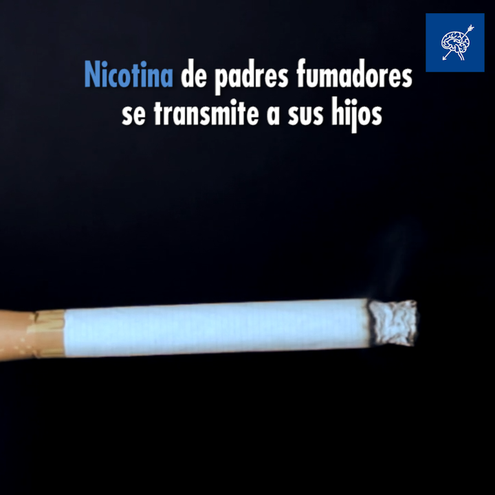 Nicotina de padres fumadores se transmite a sus hijos