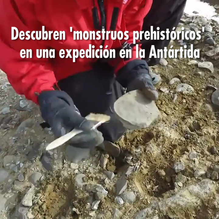 Descubren ‘monstruos prehistóricos’ en una expedición en la Antártida