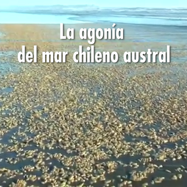 La agonía del mar chileno austral