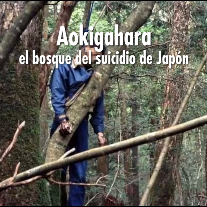 Aokigahara el bosque del suicidio de Japón