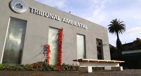 Tercer Tribunal Ambiental admite a trámite demanda de reparación por daño ambiental por vertimiento de salmones muertos en Chiloé