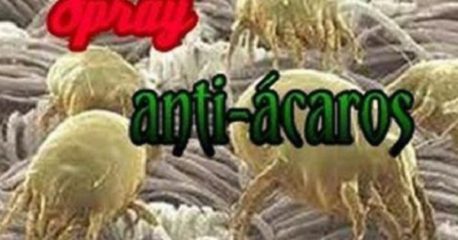 Spray contra los ácaros
