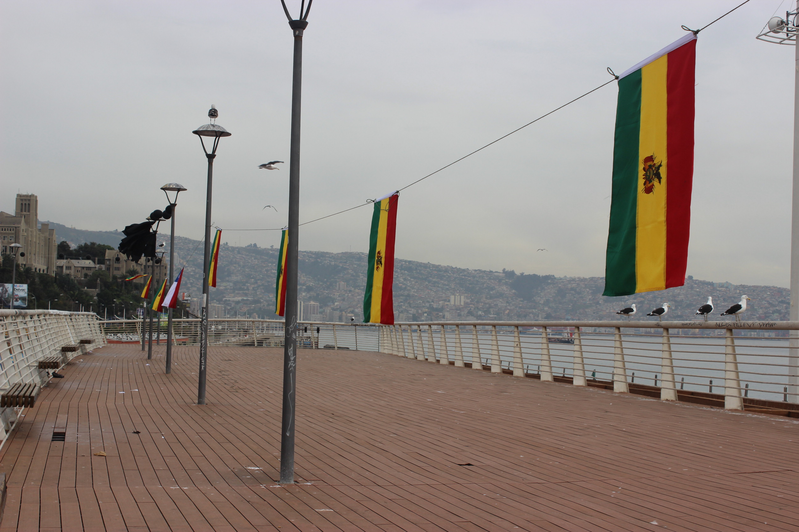 Pescadores levantan banderas de Bolivia en toda la Caleta Portales de Valparaíso