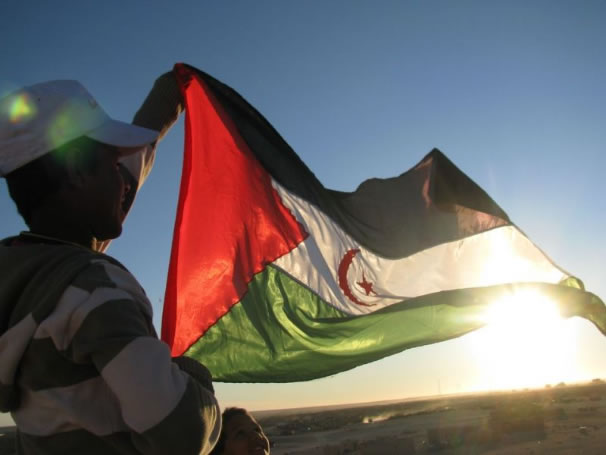 Cámara de Diputados solicita a Gobierno reconocimiento de República Saharaui