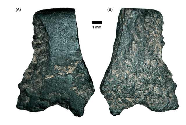 Arqueólogos identifican el hacha de mano más antigua que se haya encontrado