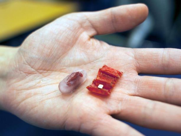 Desarrollan un mini ‘robot origami’ que ayudaría a sacar objetos y sanar heridas del estómago