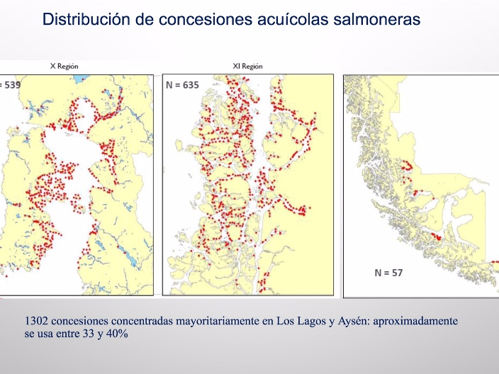 El Cóctel letal que incrementó la Marea Roja en la Región de Los Lagos