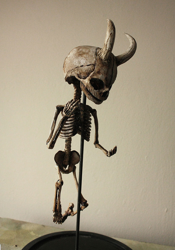 Espeluznantes esqueletos son descubiertos en el sótano de una antigua casa