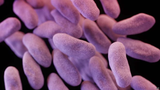 EEUU: Descubren primer caso de temida superbacteria resistente al antibiótico más brutal