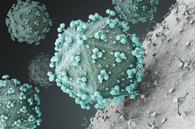 Medicina: Desarrollan nueva técnica para inhibir la integración del VIH al ADN