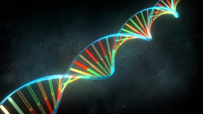 Confirman que el ADN tiene una segunda capa de información