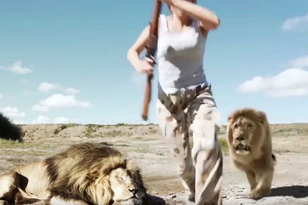 León cobra venganza contra cazadores que posaban con el cadáver de su compañero