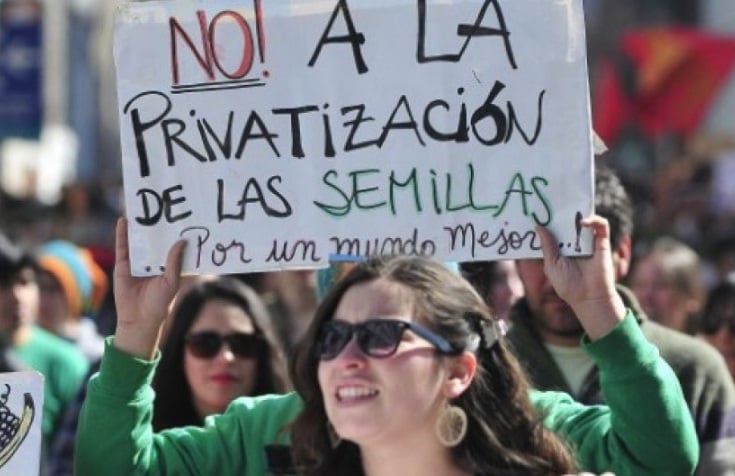 Ley Monsanto en Chile: Un peligro latente por la presión de la agroindustria