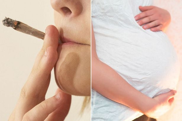 Embarazadas que consumen cannabis podrían poner en riesgo la integridad de sus bebés