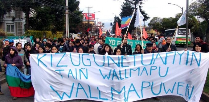 Primer partido político Mapuche se constituye oficialmente