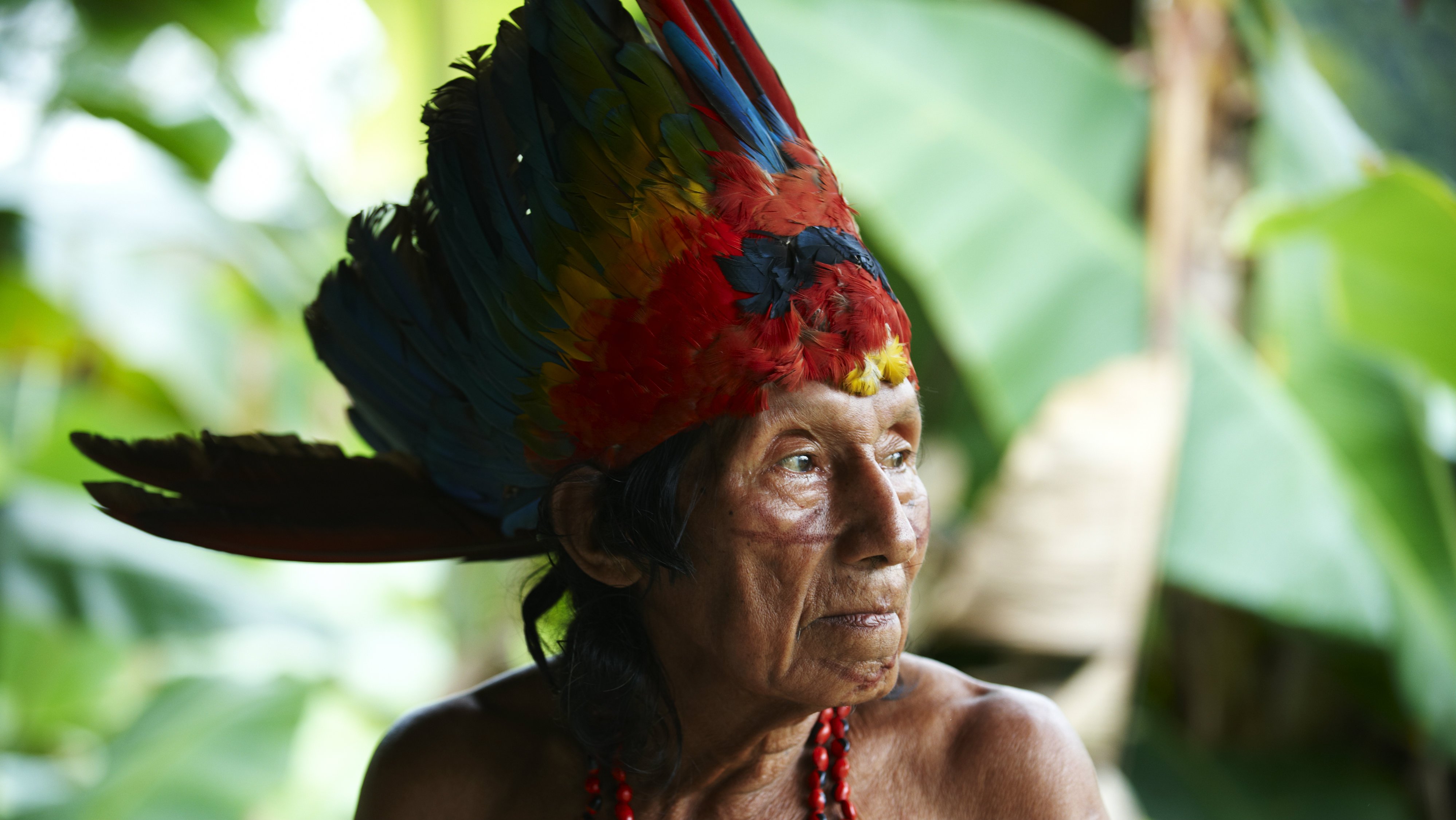Chamanes del Amazonas crean enciclopedia ancestral que cambiaría la humanidad para siempre
