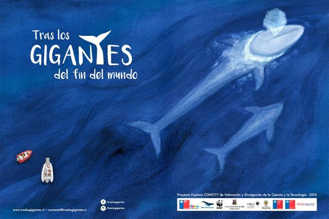 Lanzan publicación ilustrada infantil que invita a conocer las grandes ballenas del sur de Chile