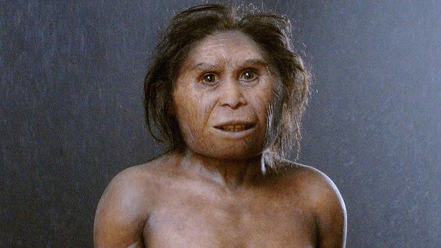 Nuevos fósiles del «hobbit» de la isla de Flores revolucionarían nuestro conocimiento de la evolución humana