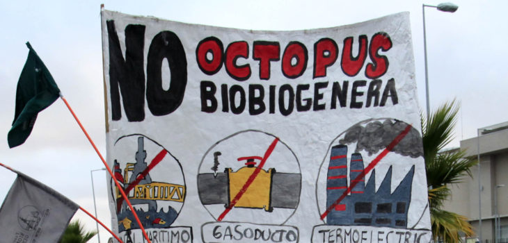 Navarro: «La fuerza ciudadana contra Octopus puede más que un telefonazo»