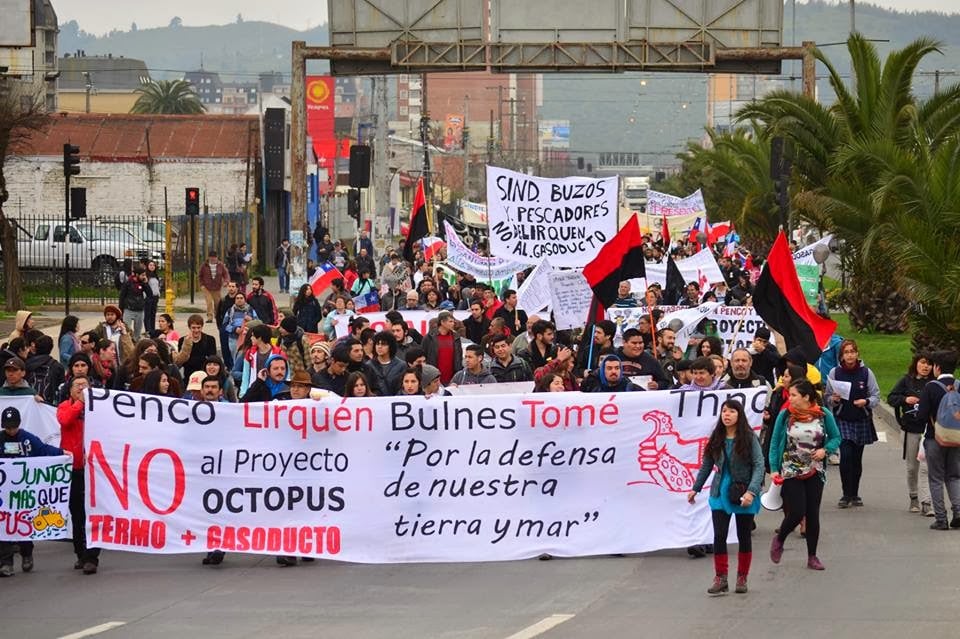 Aprueban proyecto Octopus pese a dura resistencia de la ciudadanía del Bío Bío