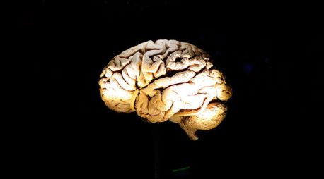 Hombre empapó un cerebro humano en marihuana y se lo fumó