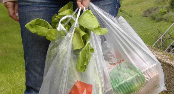 Ancud en contra de la contaminación: No utilizarán más bolsas plásticas
