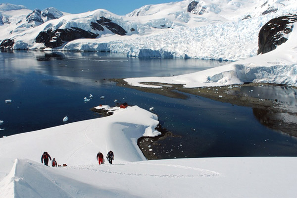 Descubren sustancias tóxicas contaminando el agua de la Antártica chilena
