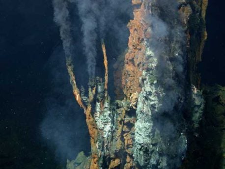Científicos dicen haber encontrado al ancestro común de toda la vida en la Tierra