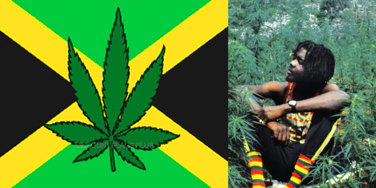 Jamaica pondrá kioscos de marihuana para turistas en los aeropuertos
