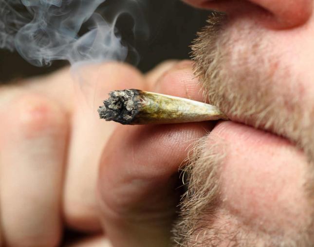 Justicia absuelve a consumidores de cannabis acusados de microtráfico