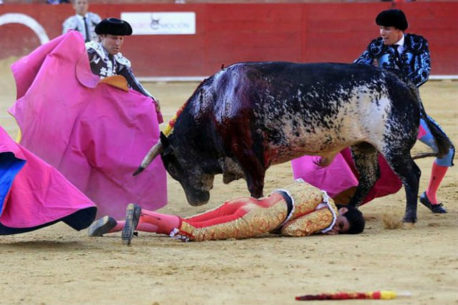 Españoles matarán a toda la familia del toro que mató al torero el sábado pasado
