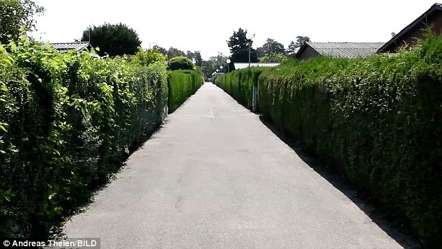 El Ciudadano | Vivió encerrada en un sótano por 8 años. 10 años después