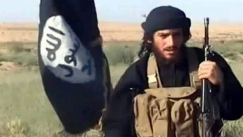 Siria: Muere portavoz del Daesh