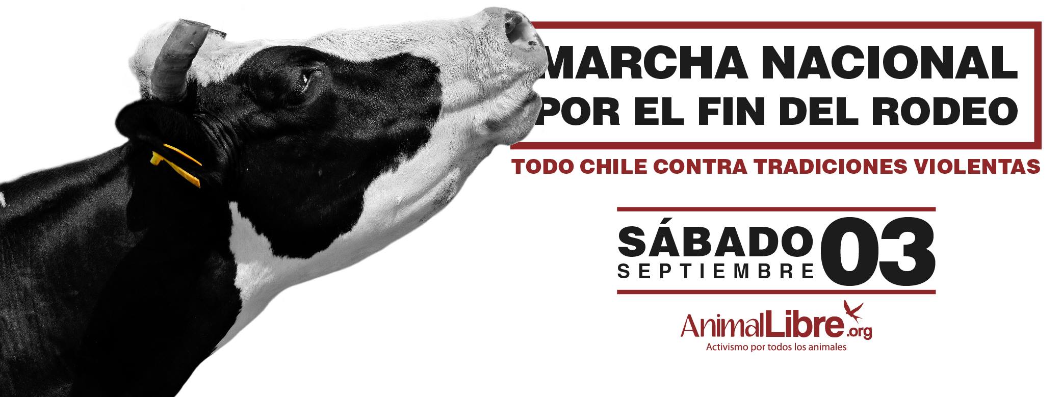 Convocan a Marcha Nacional por el Fin del Rodeo en Chile
