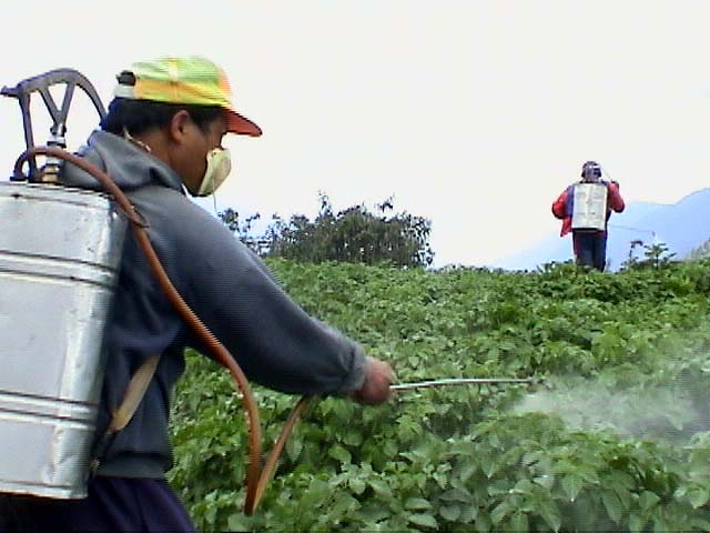 Niveles de exposición de la población a los plaguicidas en Chile superan los índices internacionales