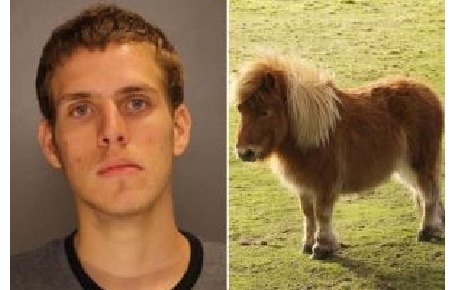 Hombre fue cogido abusando sexualmente de un pony mientras le decía obscenidades al oído